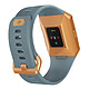 Acheter Fitbit Ionic Bleu / Orange métallisé