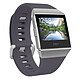 Fitbit Ionic Bleu gris / Plata Reloj con conexión inalámbrica Bluetooth, resistente al agua, pago sin contacto NFC, GPS y medidor de cardiofrecuencia para smartphone iOS / Android / Windows
