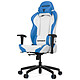 Vertagear Racing SL2000 (blanco/azul) Asiento de piel con respaldo regulable en 140° y reposabrazos 2D para jugadores (hasta 150 kg)