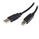 StarTech.com USB2HAB6 Câble USB 2.0 Type-A vers USB-B (Mâle/Mâle - 1,8 m)