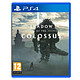 Shadow of the Colossus (PS4) Jeu PS4 Action-Aventure 12 ans et plus
