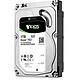 Seagate Exos 7E2 3.5 HDD 1 To (ST1000NM0008) pas cher