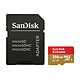 SanDisk Extreme microSDXC UHS-I U3 V30 A1 256 Go + Adaptateur SD Carte mémoire MicroSDXC UHS-I U3 V30 A1 256 Go