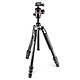 Manfrotto Befree GT - MKBFRTA4GT-BH Alu/Black 4-section aluminium travel tripod kit with ball head, quick release tray and carrying case
