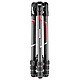 Opiniones sobre Manfrotto Befree GT - MKBFRTC4GT-BH Carbone/negro