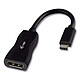 i-tec Adaptateur USB-C / DisplayPort (M/F) Noir Adaptateur USB-C vers DisplayPort