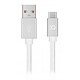 xqisit Charge & Sync USB-A / USB-C Blanc - 1.8m Câble de chargement et synchronisation USB-A vers USB-C (1.8m)