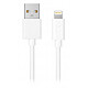xqisit Charge & Sync USB-A / Lightning Blanc - 1.8m Câble de chargement et synchronisation USB-A vers Lightning (1.8m)