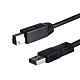 Avis StarTech.com Carte d'acquisition vidéo HDMI USB-C