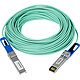 Netgear AXC7620 Câbles Direct-Attach pour les connexions 10 Gigabit - 20 mètres