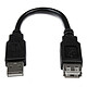 StarTech.com Câble d'extension USB-A 2.0 - M/F - 15 cm Câble USB 2.0 Type-A (Mâle/Femelle - 15 cm)