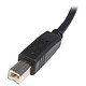 Avis StarTech.com Câble USB-A 2.0 vers USB-B - M/M - 5 m - Noir