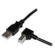 StarTech.com USBAB2MR Câble USB 2.0 Type-A vers Type-B coudé à droite (Mâle/Mâle - 2 m)