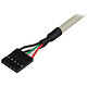 Avis StarTech.com Câble adaptateur USB 2.0 IDC 5 broches vers plaque à 2 ports USB A
