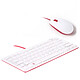 Raspberry Pi Keyboard + Mouse (Blanc) Ensemble clavier filaire avec hub USB intégré (AZERTY Français) + souris filaire sous licence officielle Raspberry Pi