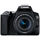 Canon EOS 250D Noir + 18-55 IS STM Noir Reflex Numérique 24.1 MP - Ecran tactile orientable 3" - Viseur optique - Vidéo Ultra HD - Wi-Fi - Bluetooth + Objectif EF-S 18-55 mm f/4-5.6 IS STM