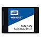 Review Western Digital SSD WD Blue 2Tb
