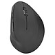 Speedlink Piavo Wireless Ergonomic wireless mouse - right-handed - 1600 dpi optical sensor - 5 buttons - vertical