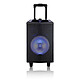 Black Panther City Street Dance Sistema de sonido inalámbrico Bluetooth iluminado con USB, micrófono SD y micrófono de karaoke.