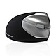 Accuratus Upright 2 RF Ergonomic wireless mouse - right-handed - 1600 dpi optical sensor - 3 buttons - vertical