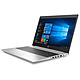 Review HP ProBook 455 G7 (175S3EA)