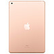 Opiniones sobre Apple iPad 10.2 pulgadas Wi-Fi 32 GB Gold