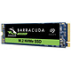 Seagate SSD BarraCuda 510 M.2 PCIe NVMe 256 Go (ZP256CM30041) SSD 256 Go M.2 NVMe 1.3 - PCIe 3.0 x4