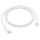 Apple Câble USB-C vers Lightning (2024) - 1 m Câble de chargement et synchronisation pour iPhone / iPad / iPod / Mac / AirPods