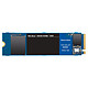 Avis Western Digital SSD WD Blue SN550 250 Go