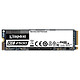 Kingston KC2500 250 Go SSD 250 Go M.2 2280 NVMe PCIe 3.0 x4 NAND TLC 3D