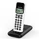 Alcatel D285 Voice Blanc Téléphone sans fil avec fonctions mains libres et répondeur