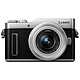 Panasonic DC-GX880K Silver 16 MP Camera - 4K Video/Photo - Tiltable Touch Screen - 12-32mm Wi-Fi