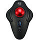 Adesso iMouse T40 Wireless trackball - RF 2.4 GHz - ambidextrous - 7 buttons - 4800 dpi