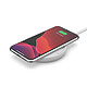 Buy Belkin Boost Charge 15W Wireless Charging Pad with AC Adapter (White)