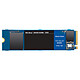 Review Western Digital SSD WD Blue SN550 2Tb
