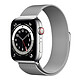 Apple Watch Serie 6 GPS Cellulare in acciaio inossidabile Argento Milanese da polso 44 mm Orologio connesso 4G - Acciaio inossidabile - Impermeabile - GPS - Cardiofrequenzimetro - Display Retina sempre acceso - Wi-Fi 5 GHz / Bluetooth - watchOS 7 - Banda da 44 mm