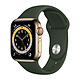 Apple Watch Series 6 GPS Cellular in acciaio inossidabile, cinturino sportivo in oro Cyprees verde 40 mm Orologio connesso 4G - Acciaio inossidabile - Impermeabile - GPS - Cardiofrequenzimetro - Display Retina sempre acceso - 5 GHz Wi-Fi / Bluetooth - watchOS 7 - 40 mm Sport Band