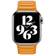Review Apple Bracelet Leather Link 44 mm California Poppy - Small