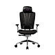 Cooler Master Ergo L (black) Imitation leather and mesh seat with 3 lockable reclining angles and 2D adjustable armrests (up to 200 Kg)