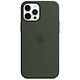 Funda de silicona Apple con MagSafe Verde Chipre Apple iPhone 12 Pro Max Funda de silicona con MagSafe para el iPhone 12 Pro Max de Apple