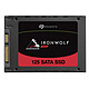Review Seagate SSD IronWolf 125 250 GB