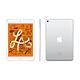 Avis Apple iPad mini 5 Wi-Fi + Cellular 256 Go Argent