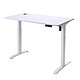 Urban Factory Ergo Desk Electric gamer desk - 118 x 60 cm - Height 75 cm - Metal structure - Cable management