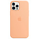 Apple Silicone Case with MagSafe Melon Apple iPhone 12 Pro Max Coque en silicone avec MagSafe pour Apple iPhone 12 Pro Max