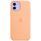 Apple Silicone Case with MagSafe Melon Apple iPhone 12 / 12 Pro Coque en silicone avec MagSafe pour Apple iPhone 12 / 12 Pro