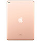 Acheter Apple iPad (Gen 8) Wi-Fi 32 Go Or · Reconditionné