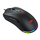 Souris PC