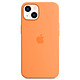 Apple Silicone Case with MagSafe Orangé Apple iPhone 13 Coque en silicone avec MagSafe pour Apple iPhone 13