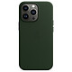 Apple Leather Case with MagSafe Vert Séquoia Apple iPhone 13 Pro Coque en cuir avec MagSafe pour Apple iPhone 13 Pro