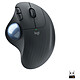 Logitech Ergo M575 (Graphite) Wireless Trackball - RF 2.4 / Bluetooth - right-handed - optical sensor 2000 dpi - 5 buttons